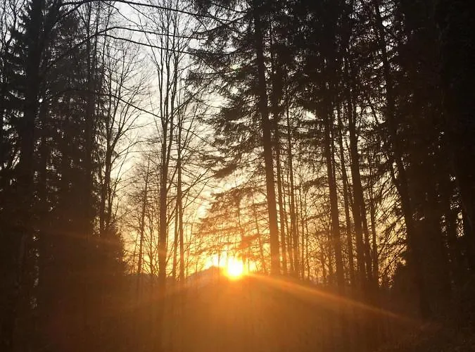 Downtown An Der Promenade *