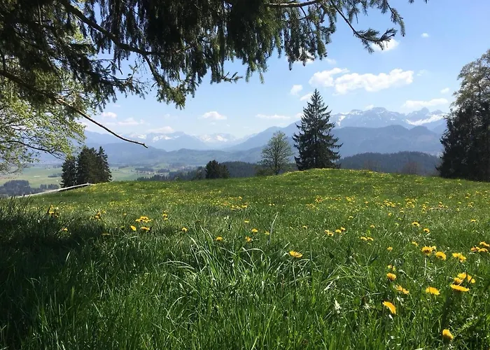 Апартаменты Downtown An Der Promenade *