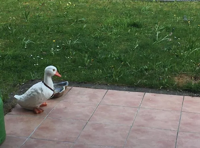 Апартаменты Downtown An Der Promenade