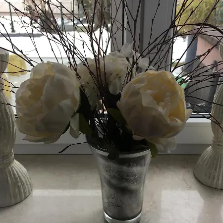 Downtown An Der Promenade Appartamento