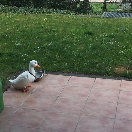 아파트 Downtown An Der Promenade